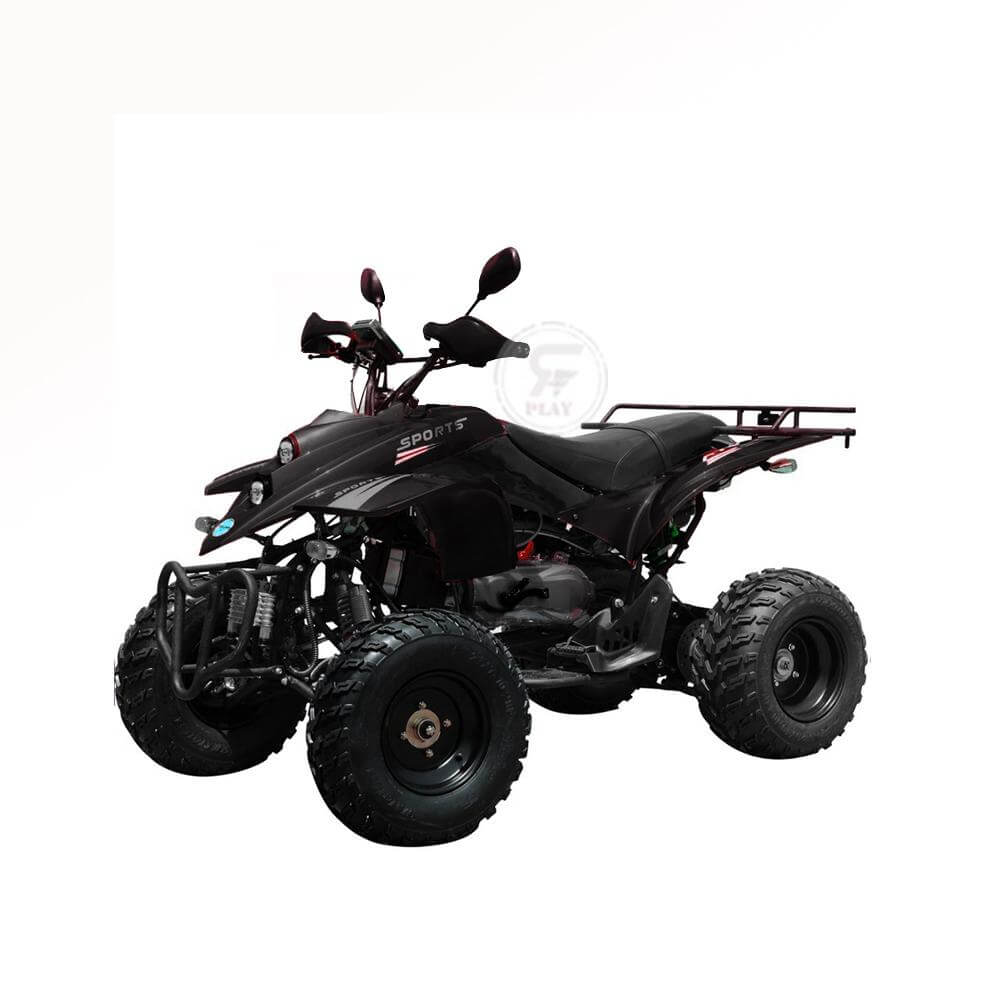 Powerwheels ATV quad Bike King Quad 250 cc Fully Automatic