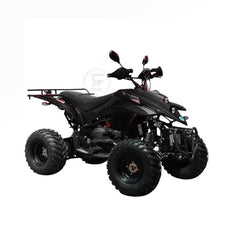 Powerwheels ATV quad Bike King Quad 250 cc Fully Automatic