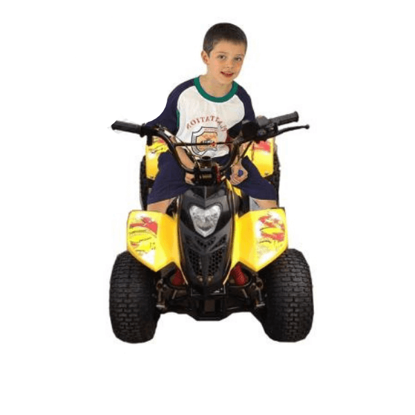 ATV Quad Bike 80CC Tornado