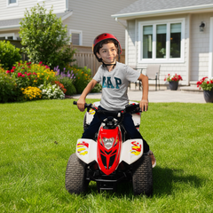 ATV Quad Bike 80CC Tornado