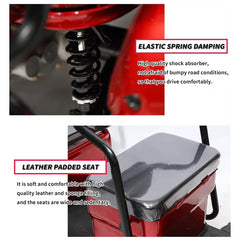 Megawheels Electric Cab Tricycle Scooter for 3 passengers with Sunroof 48 V at Gulf Buggy