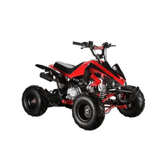 Mega Wheels 125 cc Panther Atv Quad Bike with Reverse