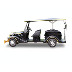Side Style of Electric Golf Cart Classic Cruise Vintage