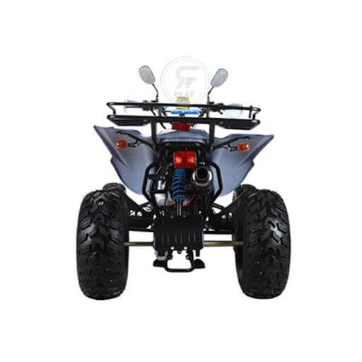Powerwheels ATV quad Bike King Quad 250 cc Fully Automatic