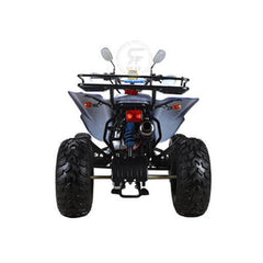 Powerwheels ATV quad Bike King Quad 250 cc Fully Automatic