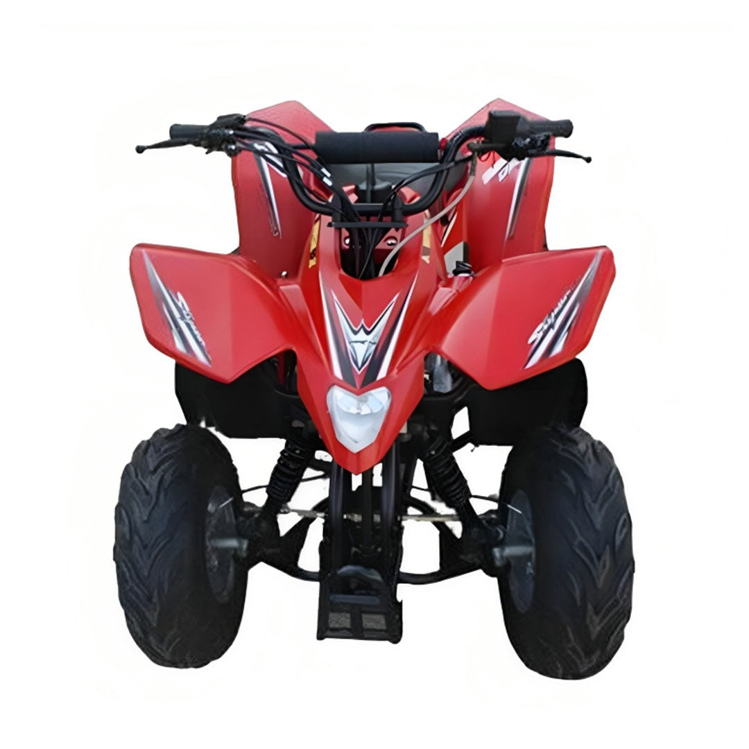 ATV Quad 200CC off Road Beast Mega Wheels Bike Fully Automatic with Reverse