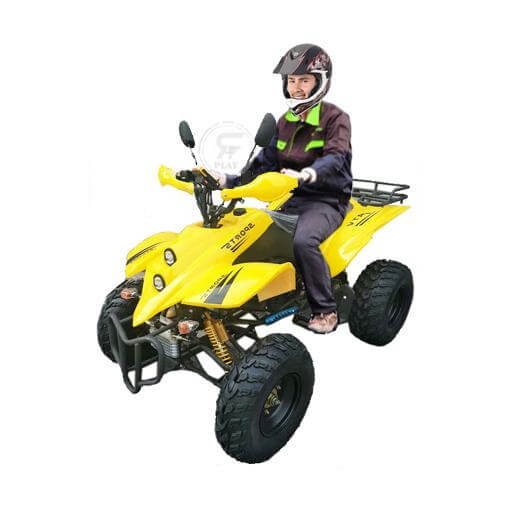 Powerwheels ATV quad Bike King Quad 250 cc Fully Automatic