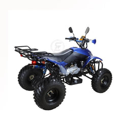 Powerwheels ATV quad Bike King Quad 250 cc Fully Automatic