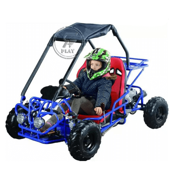 Fuel Go Kart Buggy 110CC