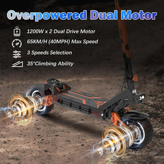 Dual motor scooter with specifications