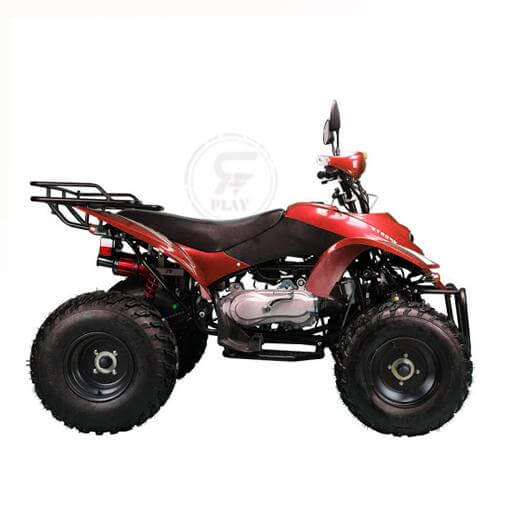 Powerwheels ATV quad Bike King Quad 250 cc Fully Automatic