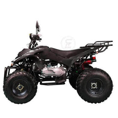 Powerwheels ATV quad Bike King Quad 250 cc Fully Automatic