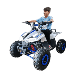 Megawheels 125 cc Atv Fully automatic Quad Bike - Blue