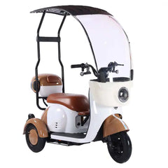 Megawheels Vesta Cruise Trio Family Tricycle 48 v Electric Scooter with Rooftop By Gulf Buggy