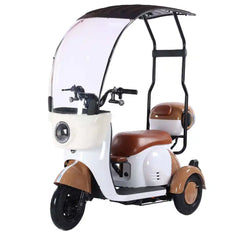 Megawheels Vesta Cruise Trio Family Tricycle 48 v Electric Scooter with Rooftop By Gulf Buggy