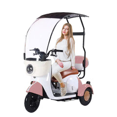 Megawheels Vesta Cruise Trio Family Tricycle 48 v Electric Scooter with Rooftop By Gulf Buggy