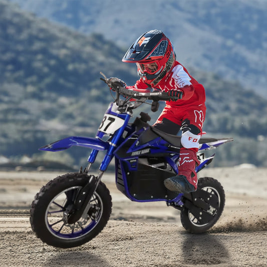 Motospark Electric Dirt Bike 36V by Megawheels