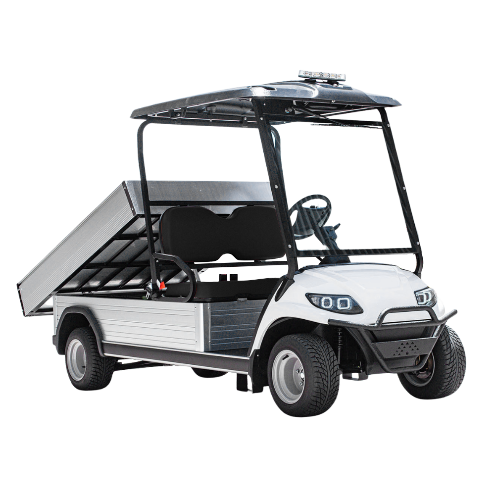 2-Seater Electric Utility Cargo Vehicle Long Cargo Box and Lithium Battery