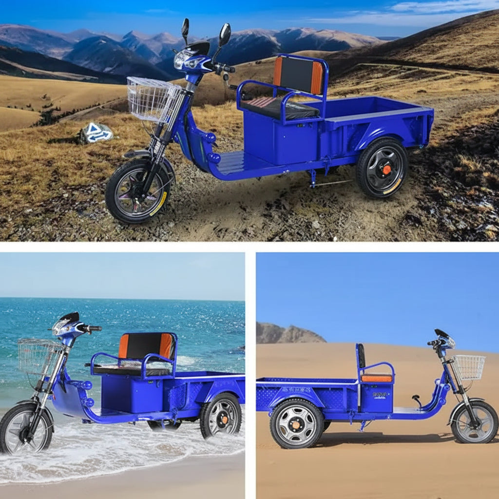 Megawheels 800w Electric Cargo Motorcycles Tricycle