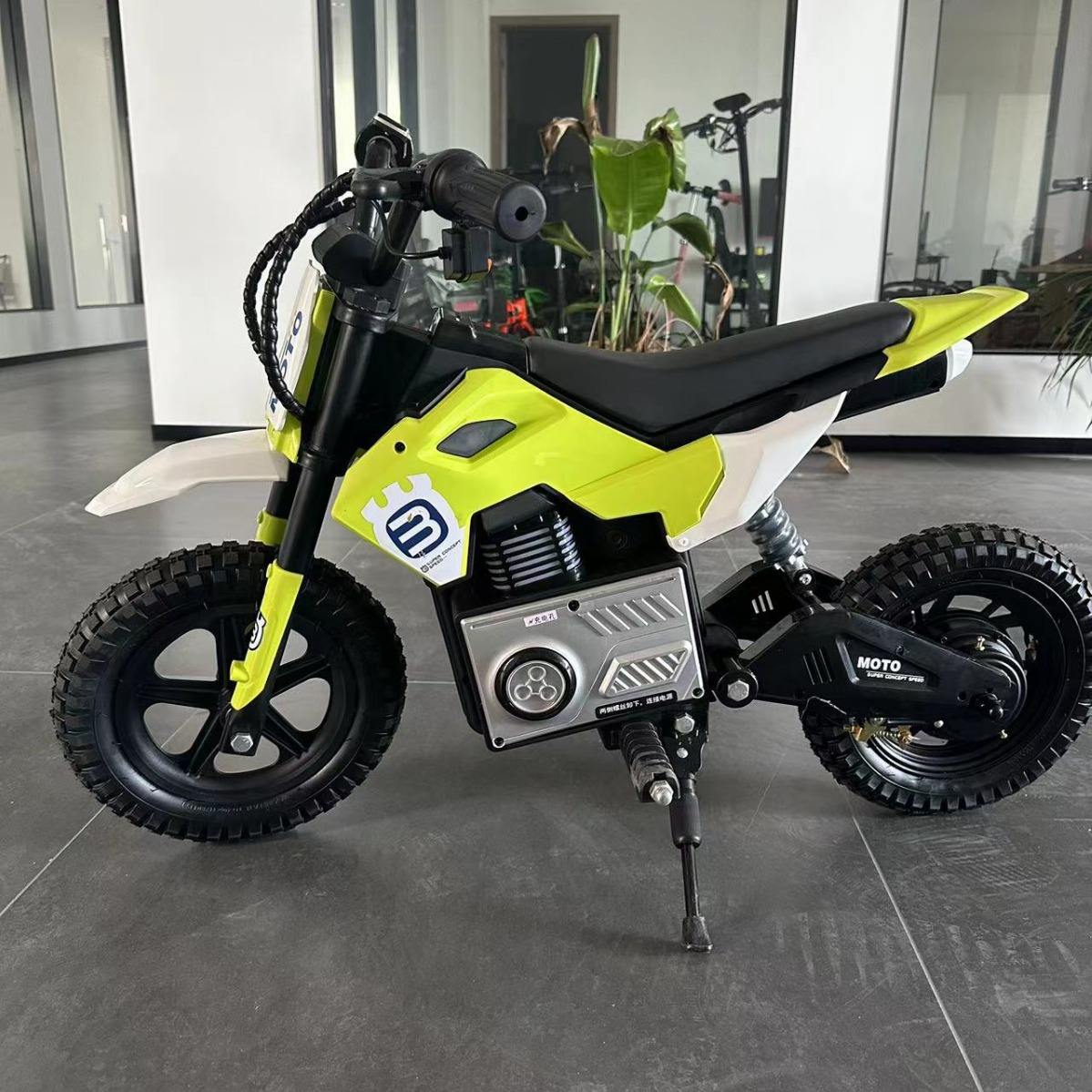 Electric Dirt Bike