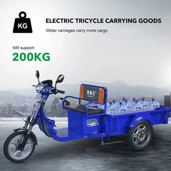 Megawheels 800w Electric Cargo Motorcycles Tricycle