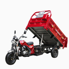 Megawheels Motorcycle Export Petrol Powered 200cc Cargo 3 Wheel Electric Scooter for Adults
