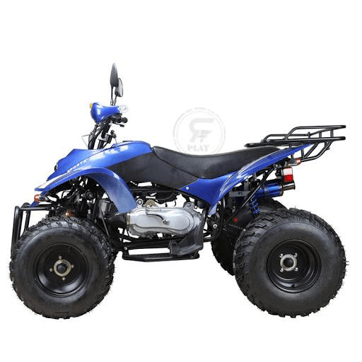 ATV Quad Bike off road King 250CC