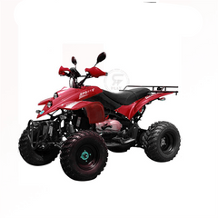 ATV Quad Bike off road King 250CC