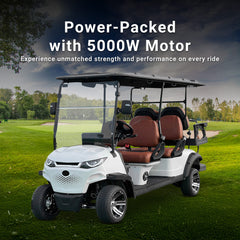 Megawheels Green Rider Electric Golf Cart 4+2 Seater by Golf Buggy UAE