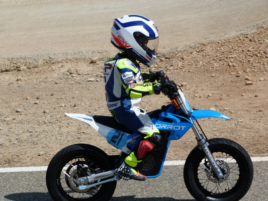 2-wheel electric Bike