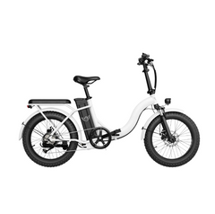 WindHorse W2 Carbon Alloy Foldable Ebike 48 V white