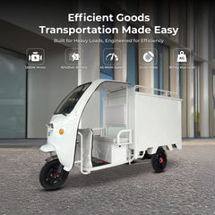Cargo 3 wheel electric scooter