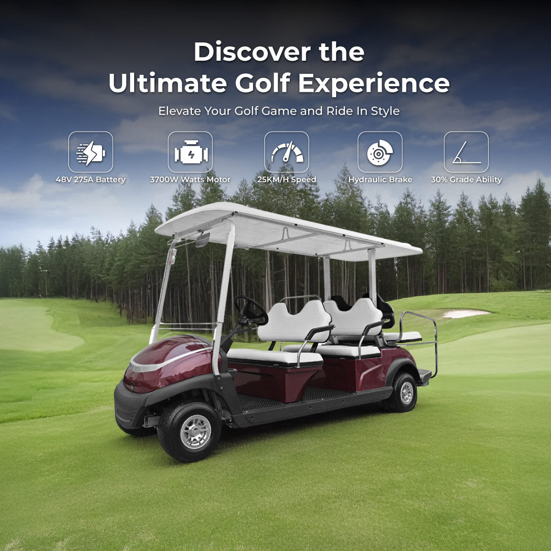 Electric golf cart