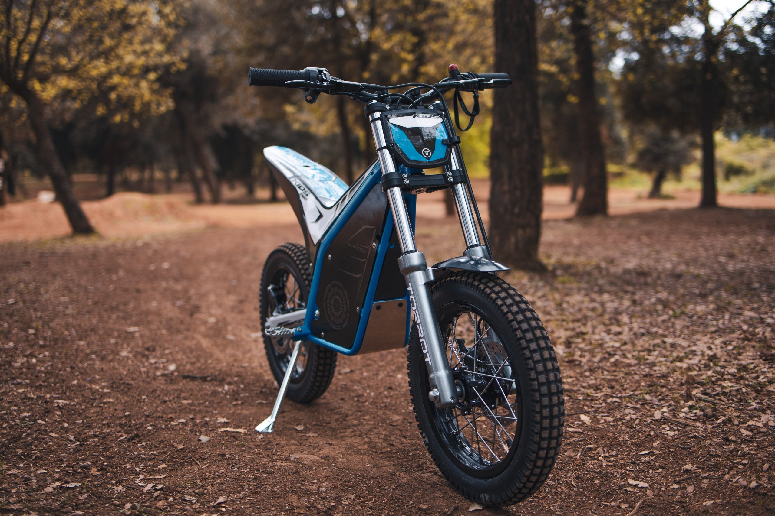 Kids Electric Motorbike