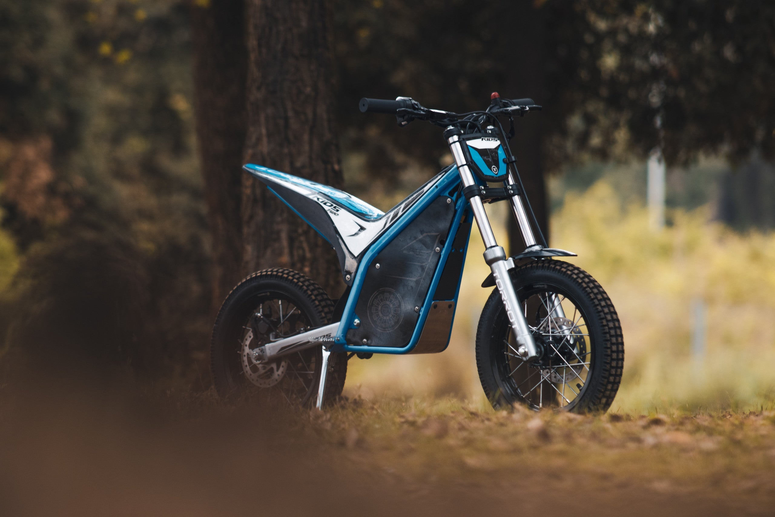 Kids Electric Motorbike