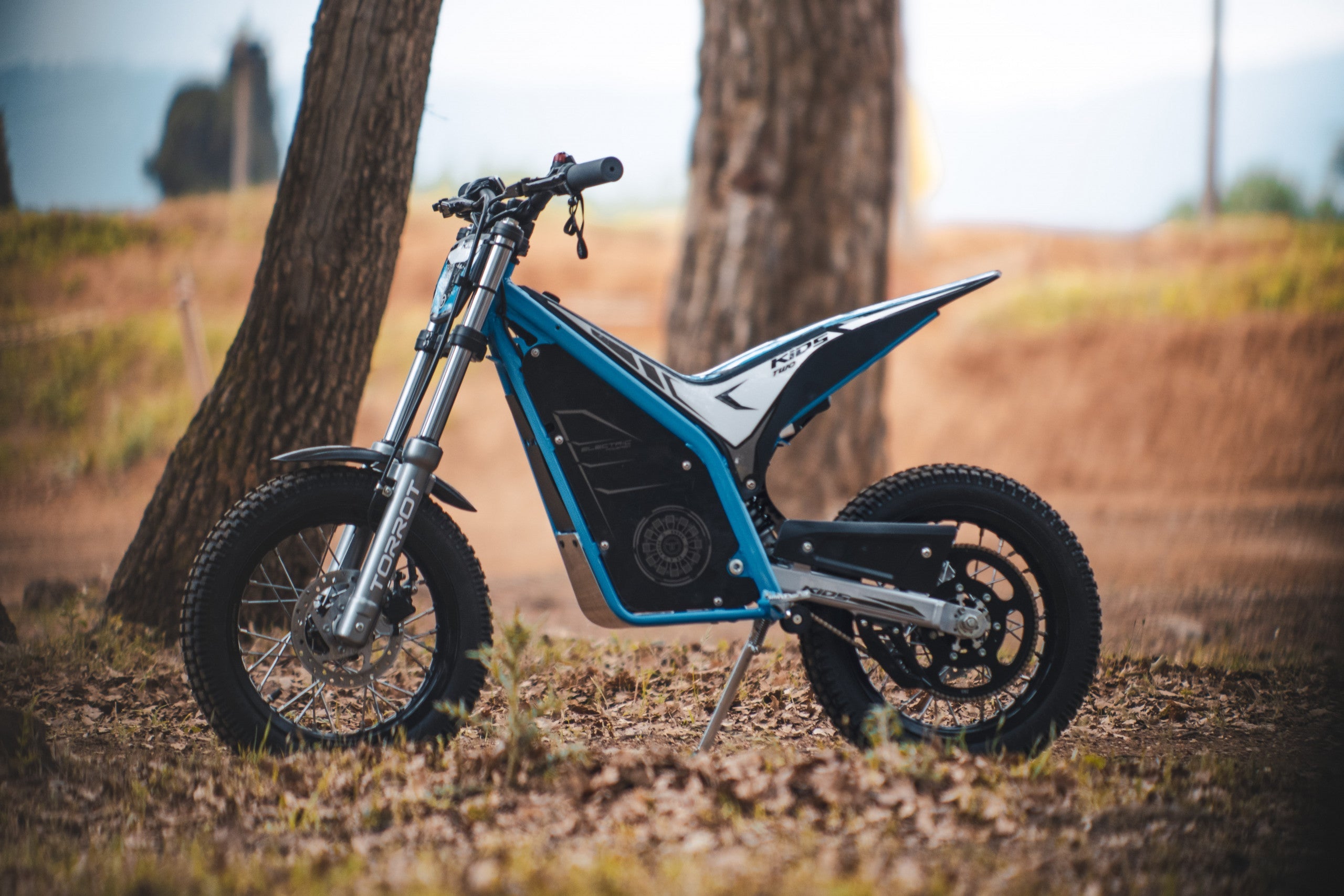 Kids Electric Scooter