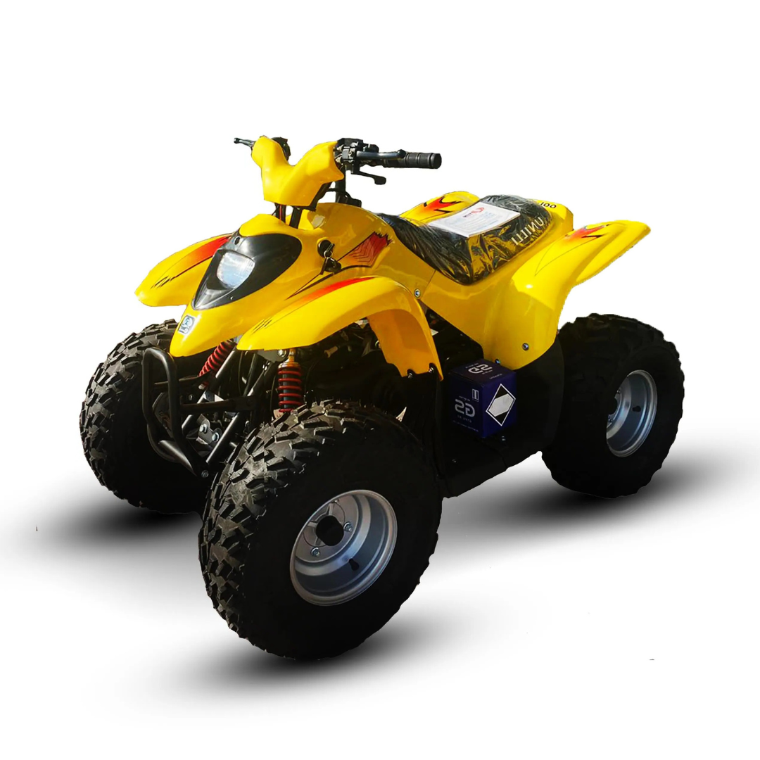 ATV Quad Bike