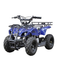 Blue Ride-on Powerwheels ATV Quad Bike 110CC