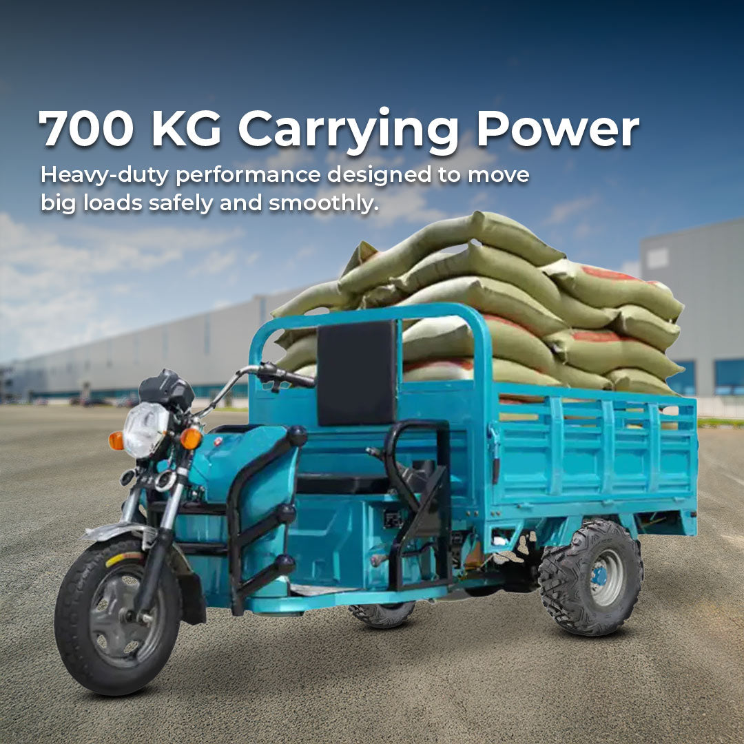 Cargo Tricycle