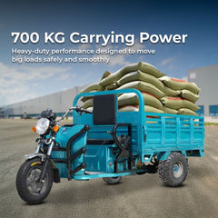 Cargo Tricycle