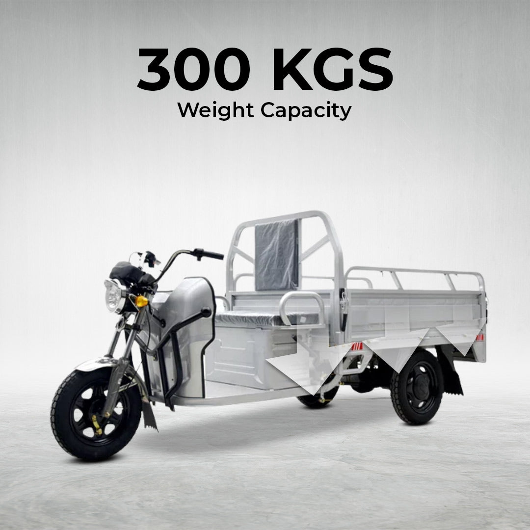 electric tricycle bike