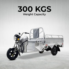 electric tricycle bike