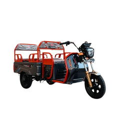Megawheels Electric Passenger Cargo 48 v Hybrid Tricycle Series 2