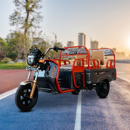 Megawheels Electric Passenger Cargo 48 v Hybrid Tricycle Series 2