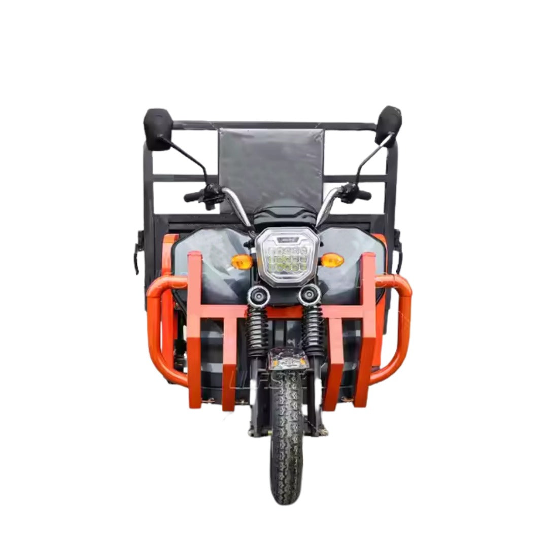 Electric Cargo Tricycle Scooter 1.6 MTR Hydraulic with Normal Tyres