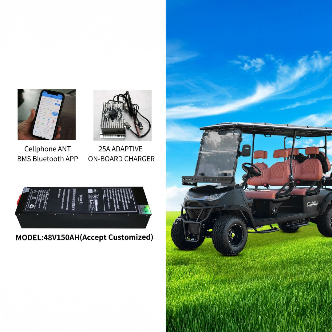 Electric Golf Cart Premium Mat Black Lifted 4 + 2 Off Road Street and Lithium Battery With Warranty