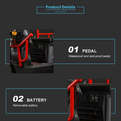 Electric Tricycle with Roof