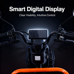 Kugoo Hybrid 3-Wheel Electric cargo Tricycle 500W with a smart digital display