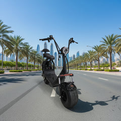 Kugoo Harley Super Fat Off Road Electric Scooter 60V 2-Wheel Scooter for Adults