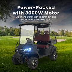 Megawheels VL Lifted Premium Golf Cart 2 Seaters With Utility Box by Gulf Buggy